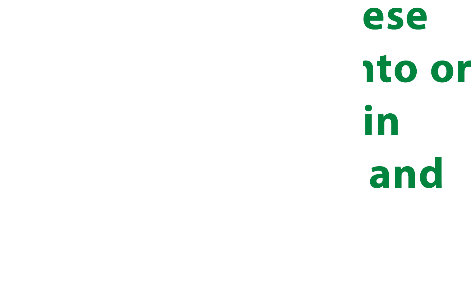 We support Japanese companies to create new emerging markets with continuous economic growth together.